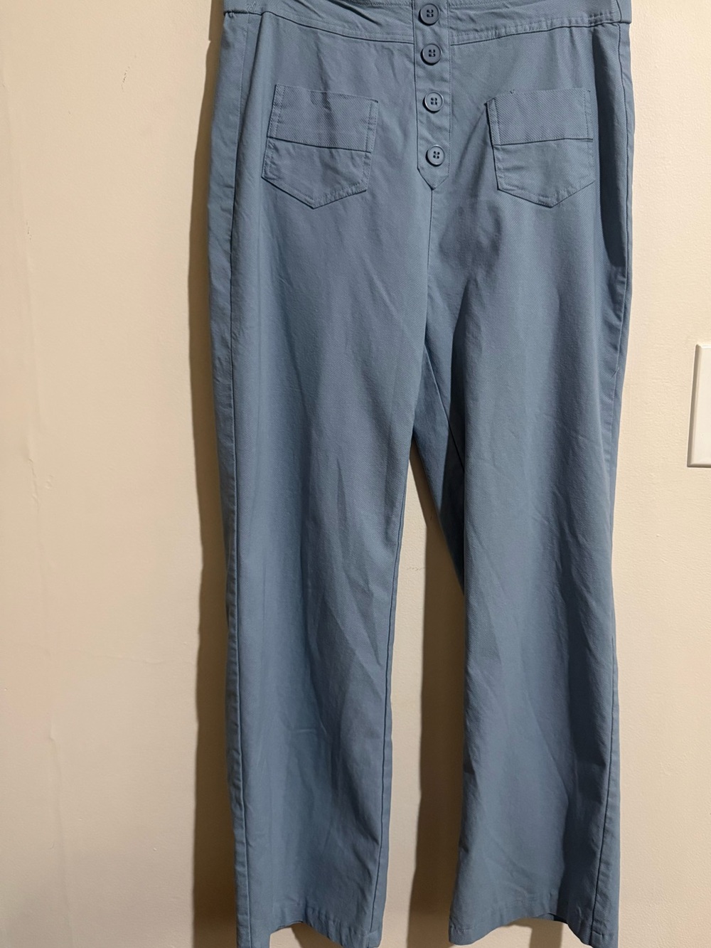 Wide Leg Button-Front Pants in Dusty Blue